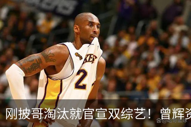 刚披哥淘汰就官宣双综艺!曾辉资源太猛