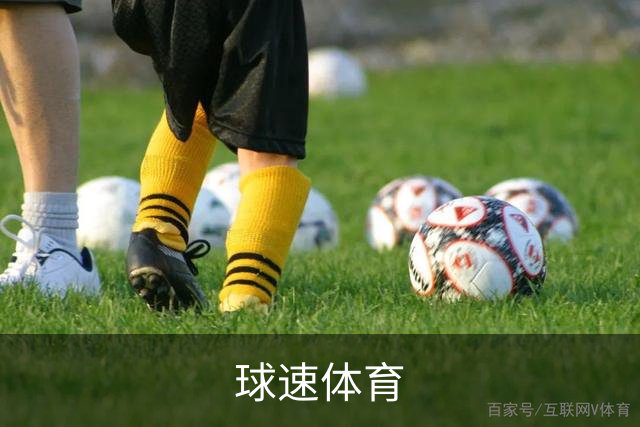 球速体育团队及体育服务简介